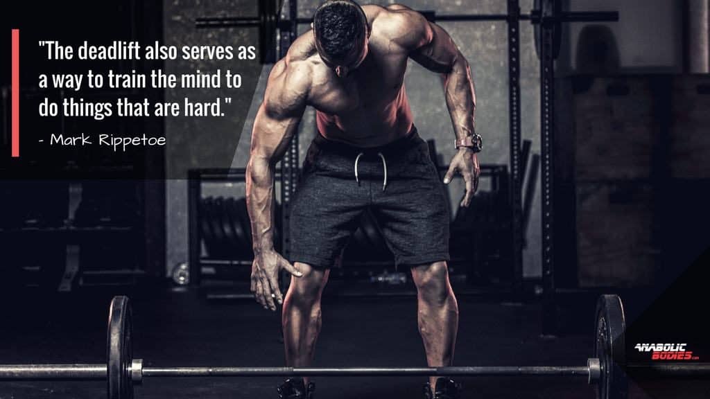 Anabolic Bodies - Starting Strength vs Stronglifts. Man getting ready for a deadlift.