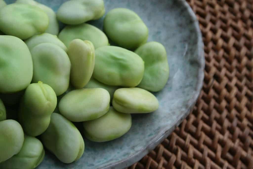 Fava Beans Help Increase Growth Hormone