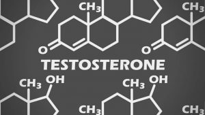 Home Testosterone Test: How To Measure Testosterone Levels At Home Without The Blood Test