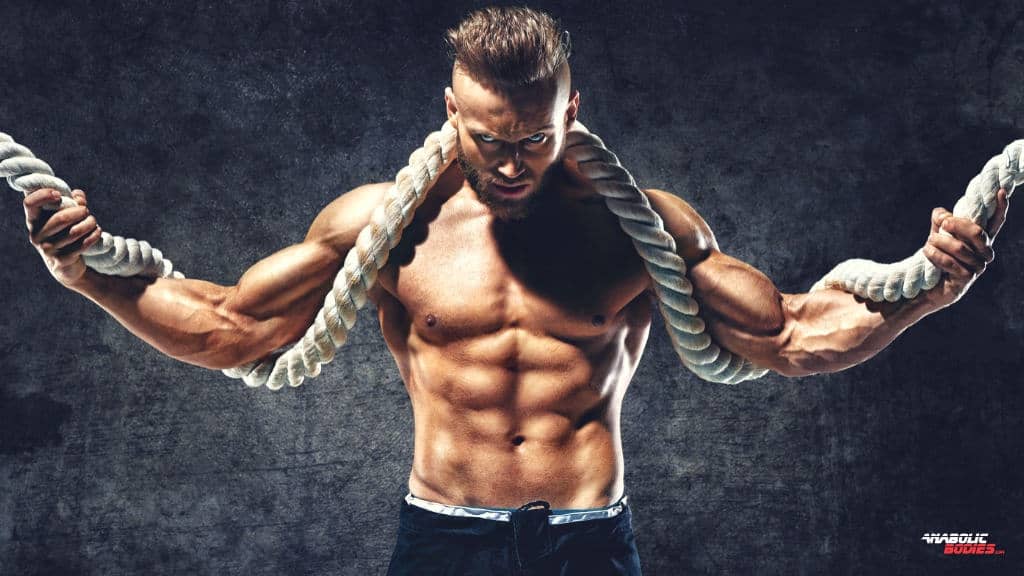 Natural Testosterone Supplements Guide: Benefits, Side Effects and Key Ingredients