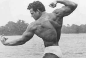 Steve Reeves Back