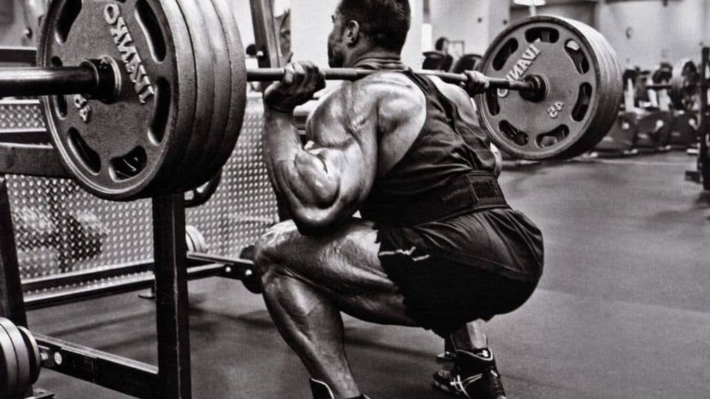 Starting Strength VS. Stronglifts 5x5: Which Program is Better?