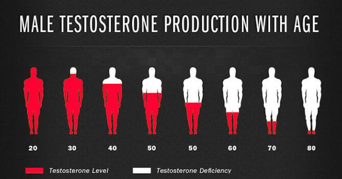 Anabolic Bodies - male testosterone production with age