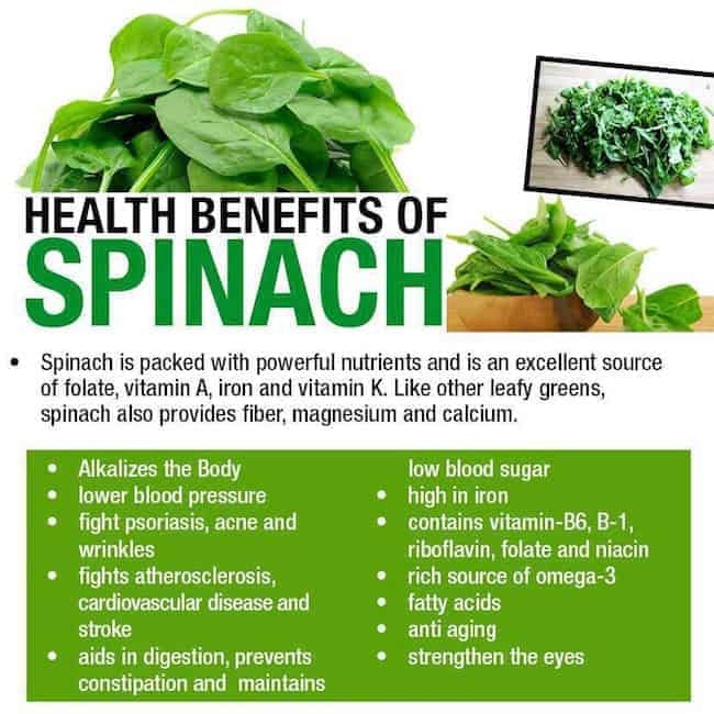 Benefits of Spinach