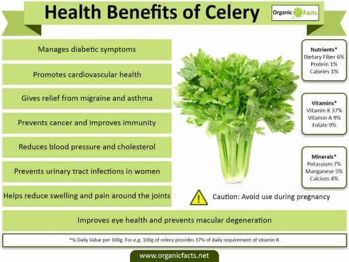 Celery Health Benefits - Great Source Of Vitamin K