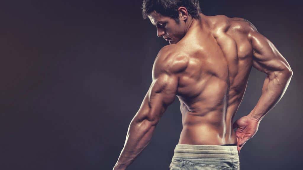 6 Exercises You Need To Train All Three Triceps Heads (Proven Tips)