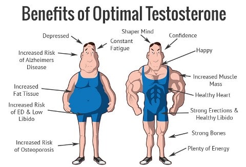Benefits of Optimal Testosterone Levels