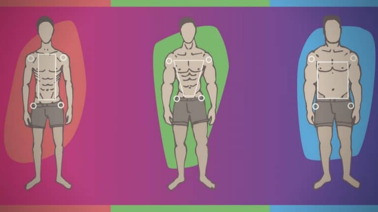 Training for Your Body Type - Ectomorph, Mesomorph and Endomorph