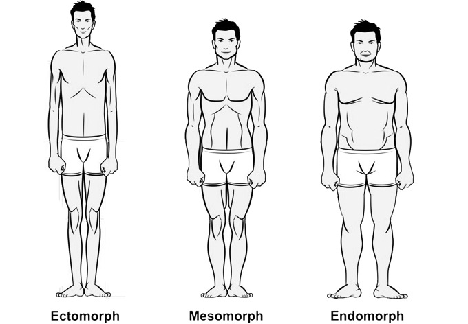 Your Body Type - Ectomorph, Mesomorph or Endomorph?