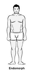 Endomorph definition - Body types