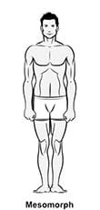 Mesomorph definition - Body types