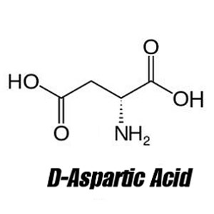 D-Aspartic Acid - The most potent natural stimulant for testosterone levels