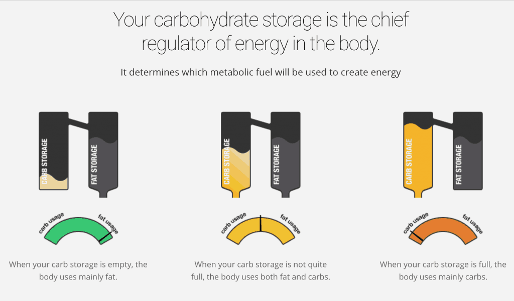 Your carbohydrate storage