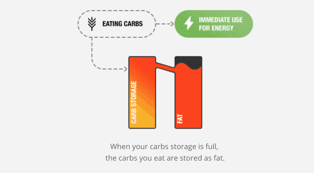When your carbs storage is full, the carbs you eat are stored as fat