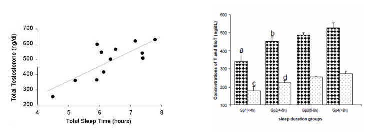 Sleep Testosterone Study