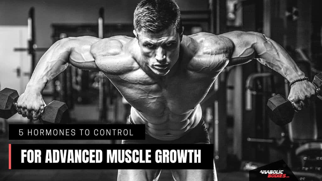 5 Hormones to Control in Bodybuilding for Advanced Muscle Growth