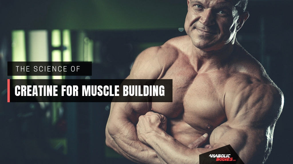 Creatine For Muscle Building: The Science of Why & How to Use It