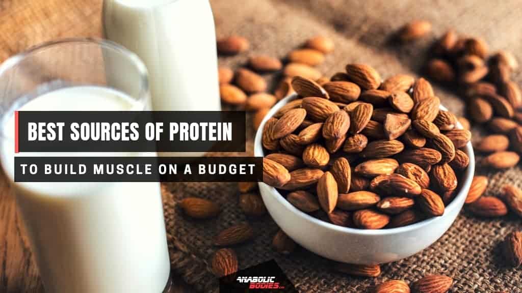 23 Cheapest Sources of Protein to Build Muscle on a Budget