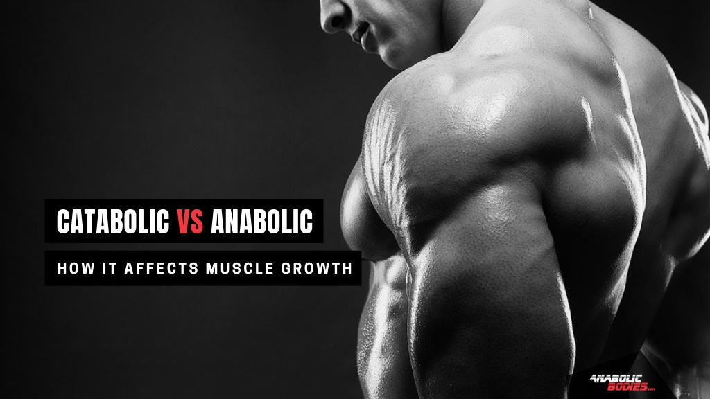 Catabolic vs Anabolic State: the Difference and How it Affects Muscle Growth