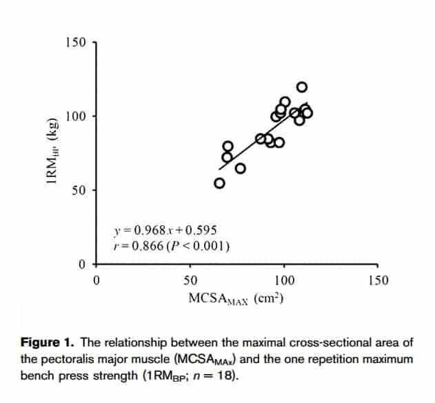 Focus on Getting Stronger