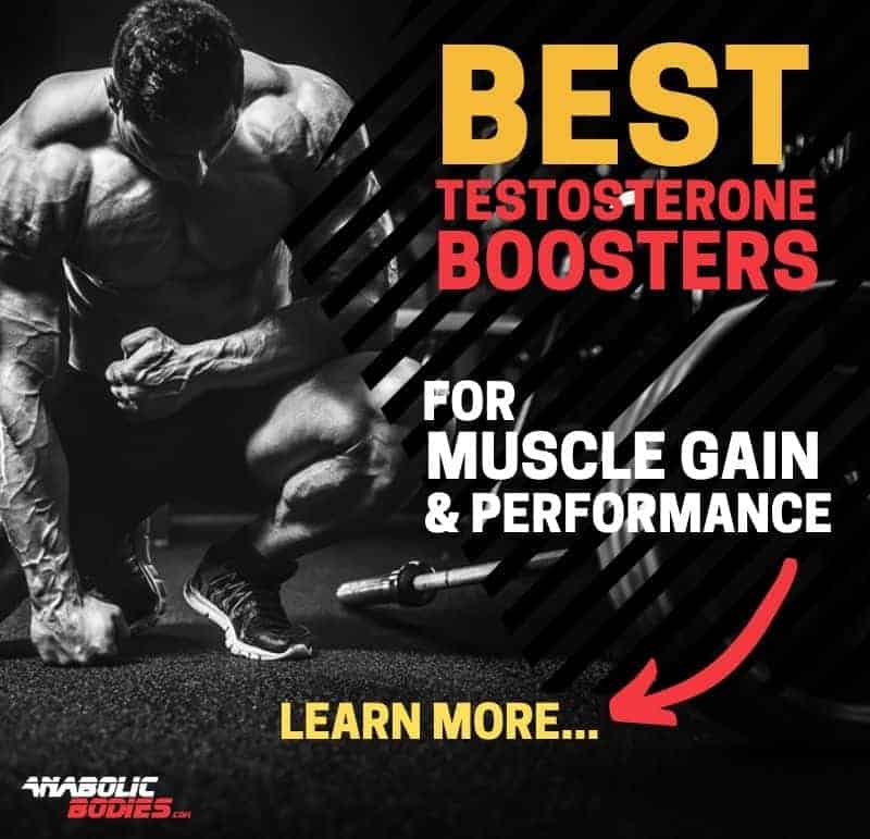 Best Testosterone Boosters
