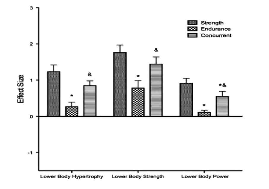Cardio Hurts Muscle Growth and Bodybuilding