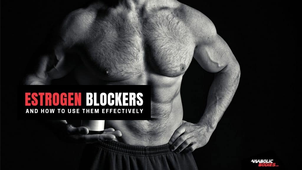 Best Estrogen Blocker Supplements for Men And How To Use Them Effectively