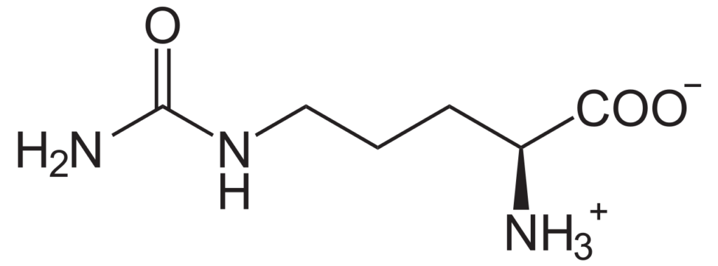 L-Citrullin