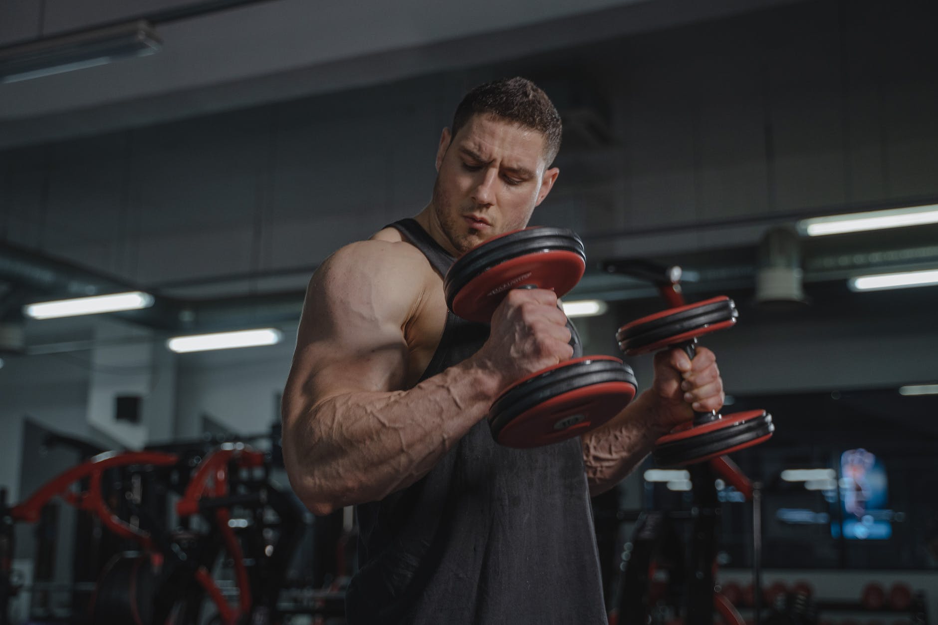 Compound Lifts with Dumbbells: Benefits, Muscles Worked, and How-To Workouts